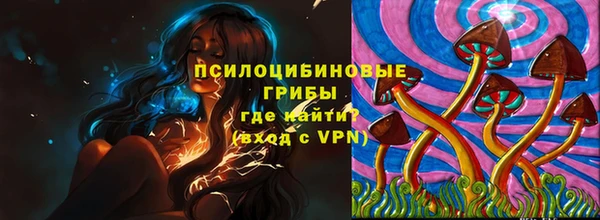 метадон Алексеевка