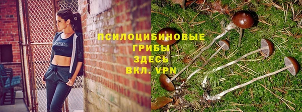 метадон Алексеевка