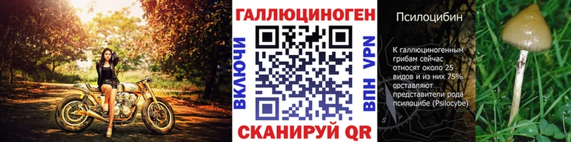 Псилоцибиновые грибы прущие грибы  Пролетарск 
